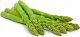 Asparagus Green Jumbo