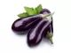Eggplant 500 gm