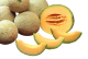 Melon Cantaloupe