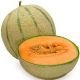 Melon Cantaloupe