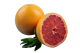 Grapefruit