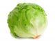 Lettuce Iceberg