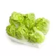 Lettuce Gem