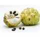 Sugar Apple / Custard Apple - CTN