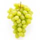 Grapes White