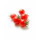 Tomato Cherry Red