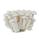 Mushroom Shimeji White