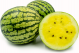 Melon Water Yellow